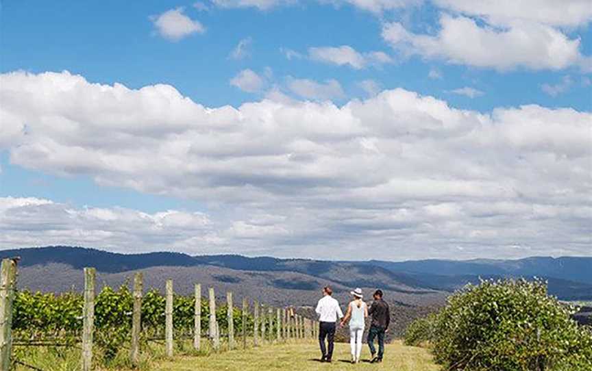 Obsession Wines, Wineries in Tumbarumba