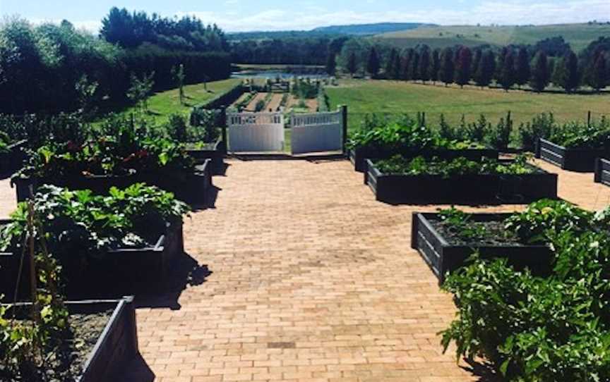 Howards Lane Vineyard, Wineries in Welby