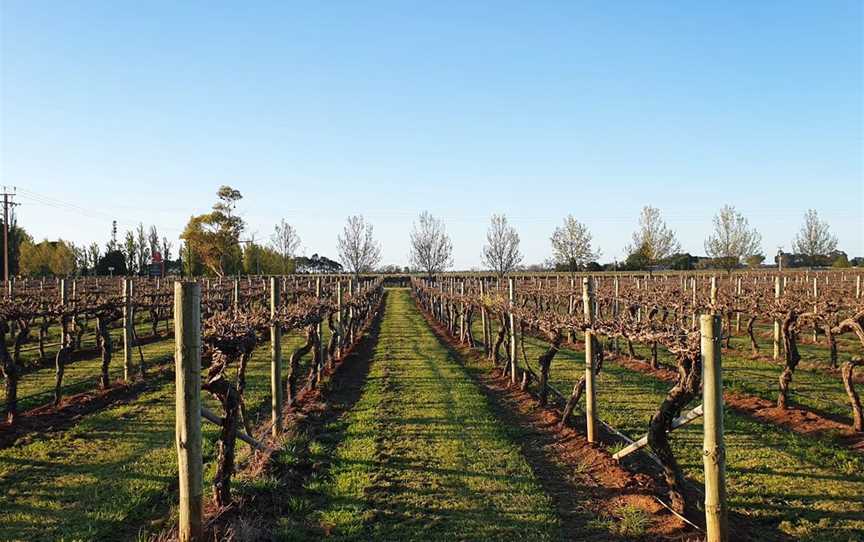 Jack Estate, Wineries in Coonawarra