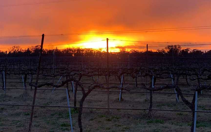 Casley Mount Hutton Winery, Wineries in Stanthorpe