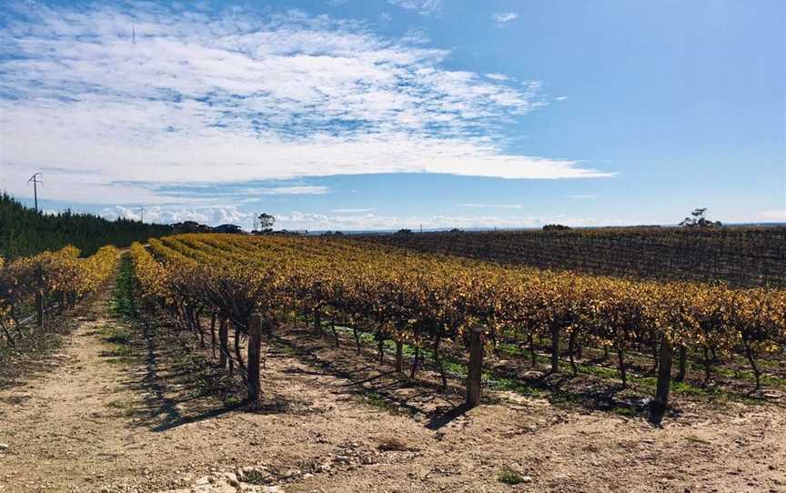 Willow Point Wines, Wineries in White Sands