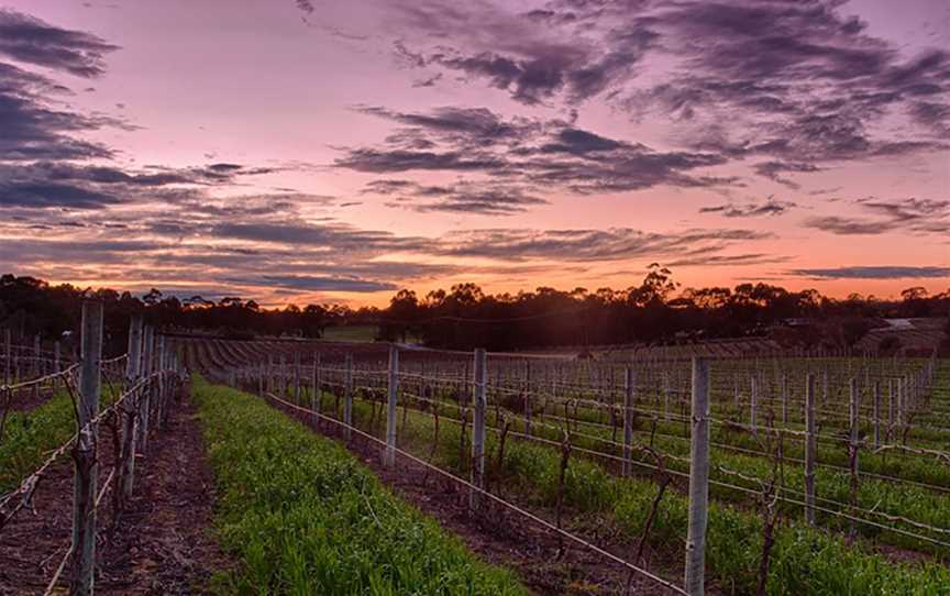 Curator Wine Company, Wineries in Marananga