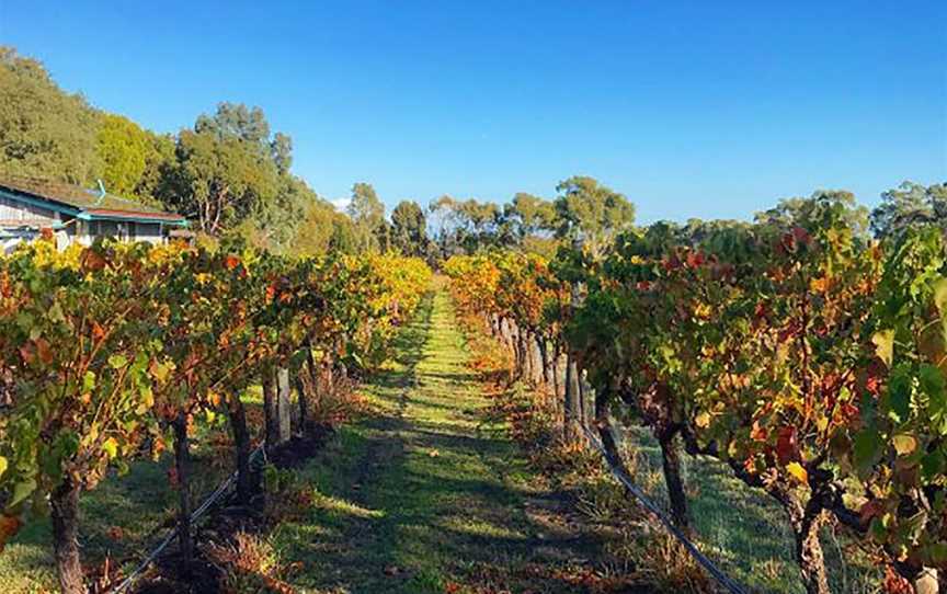 Dabblebrook Wines, Wineries in Sellicks Hill