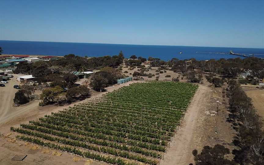 Emoyeni Wines, Wineries in Ardrossan