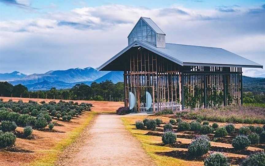 Kooroomba Vineyards, Wineries in Mount Alford