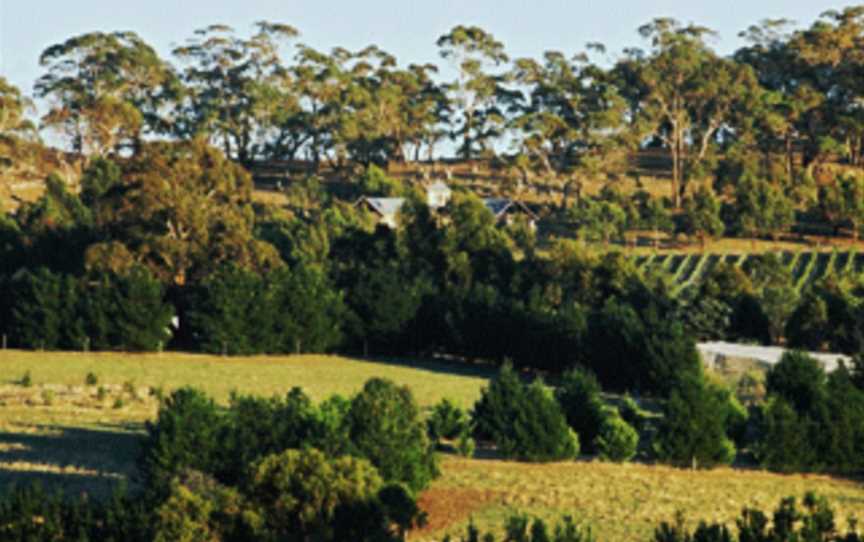 Candlebark Hill, Wineries in Kyneton