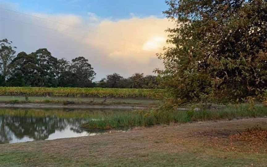 Karina Vineyard, Wineries in Dromana