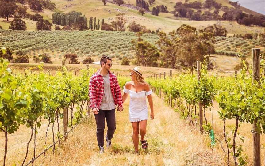 McIvor Creek, Wineries in Heathcote