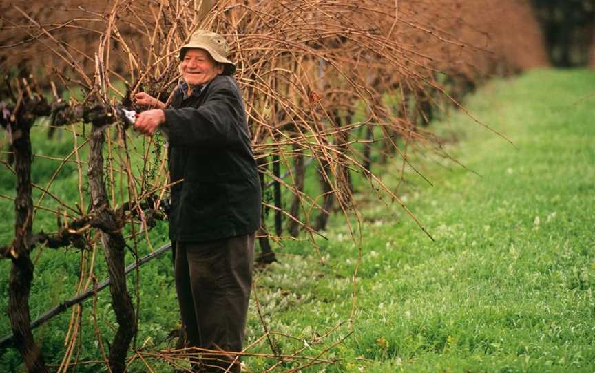 Barrecas Wines, Wineries in Donnybrook