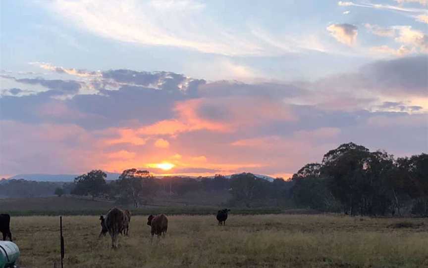 Splitters Swamp Vineyards, Wineries in Bolivia