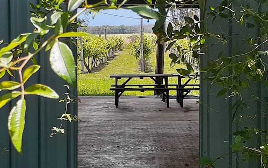 Mansfield Wines, Wineries in Mudgee