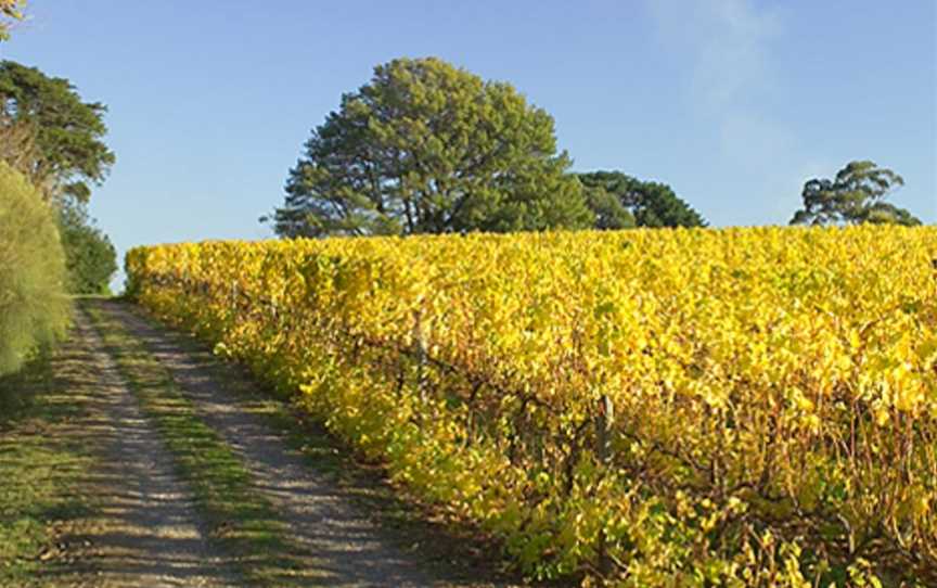 Monument Vineyard, Wineries in Cudal