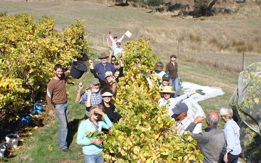 Blakes Estate Winery, Wineries in Deans Marsh