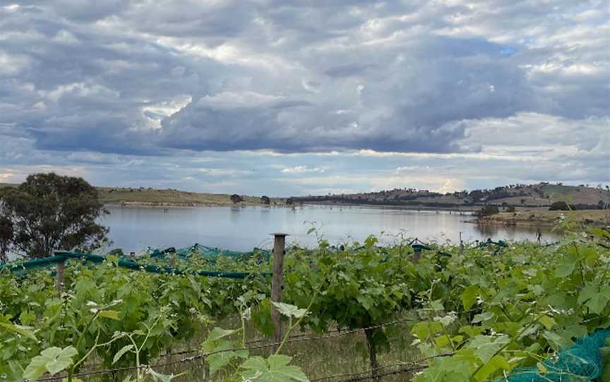 Lake Cairn Curran Vineyard, Wineries in Welshmans Reef