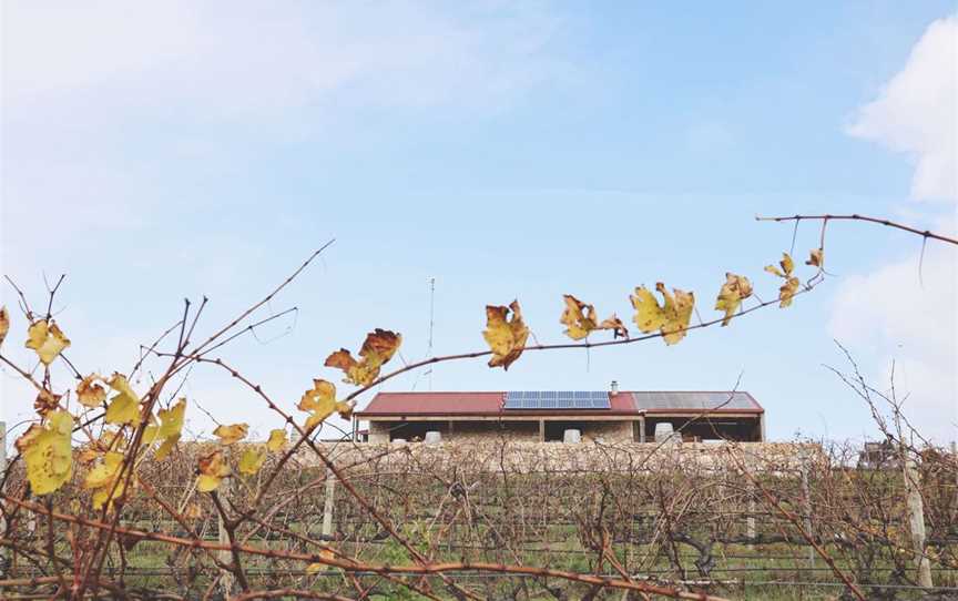 Cape Jaffa Wines, Wineries in Mount Benson