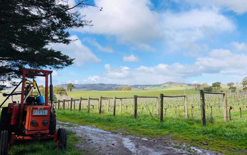 Rowanston Vines, Wineries in Glenhope