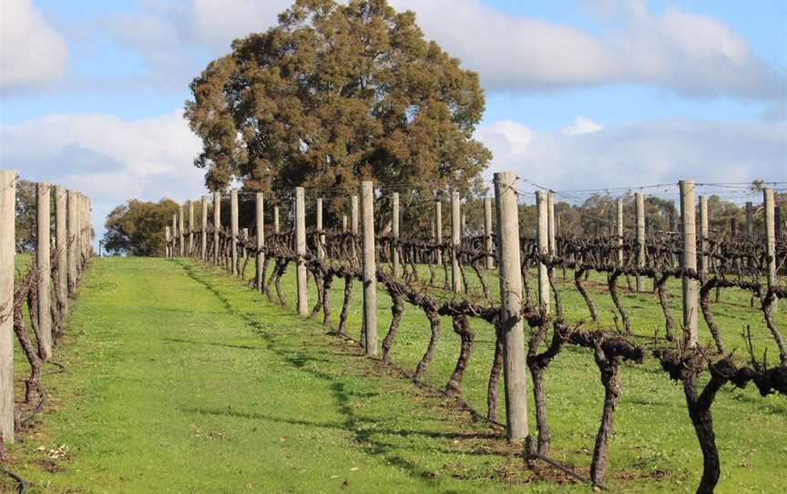 Dunmovin Estate Vineyard, Wineries in Catterick