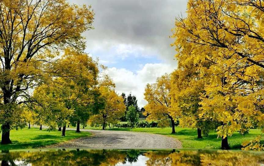 Southern Highlands Winery, Wineries in Sutton Forest