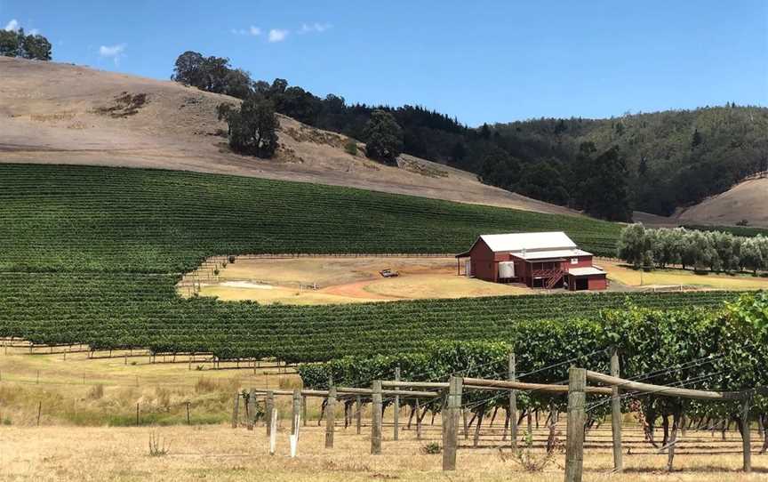 Hillbillé Winery, Wineries in Nannup