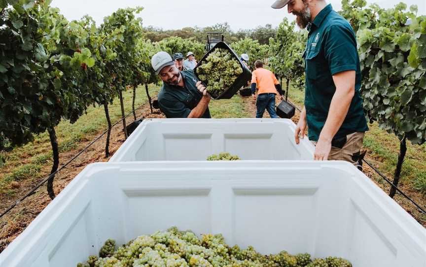 Robert Stein Vineyard, Wineries in Mudgee