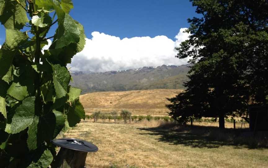 Ata Mara, Mount Pisa, New Zealand