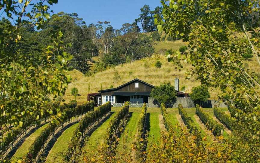 Black Barn Vineyards, Havelock North, New Zealand