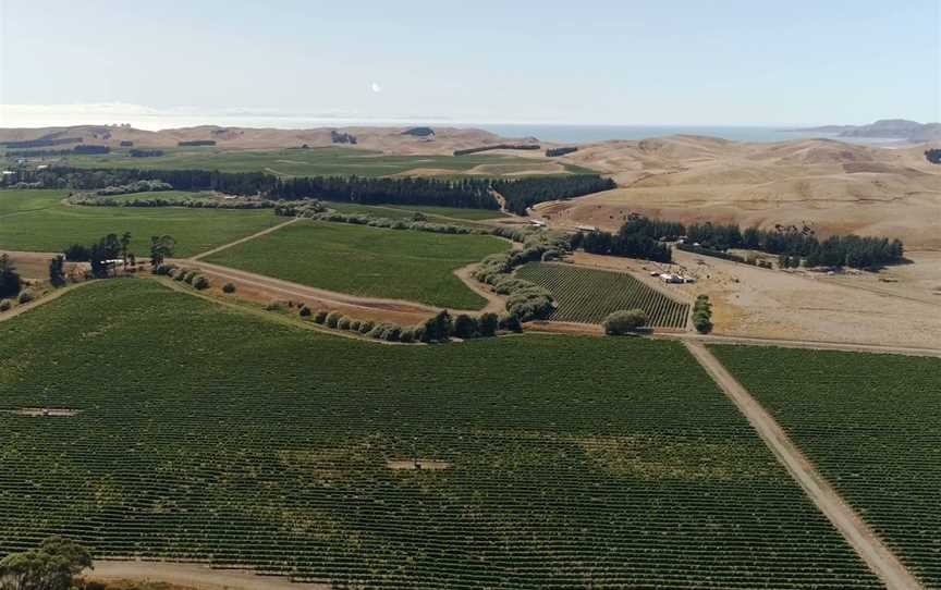 Bouldevines, Rapaura, New Zealand