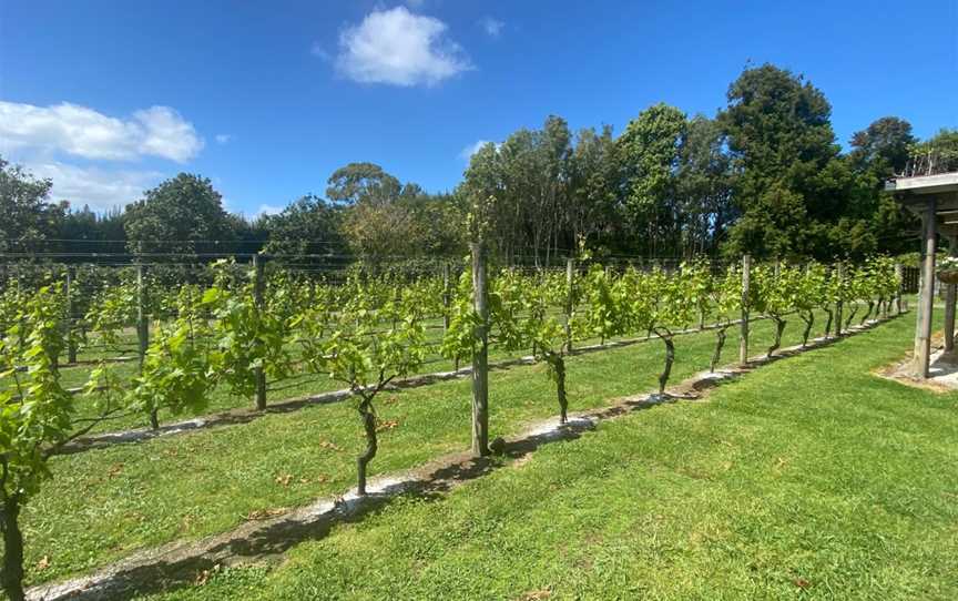 Fat Pig Vineyard, Waipapa, New Zealand