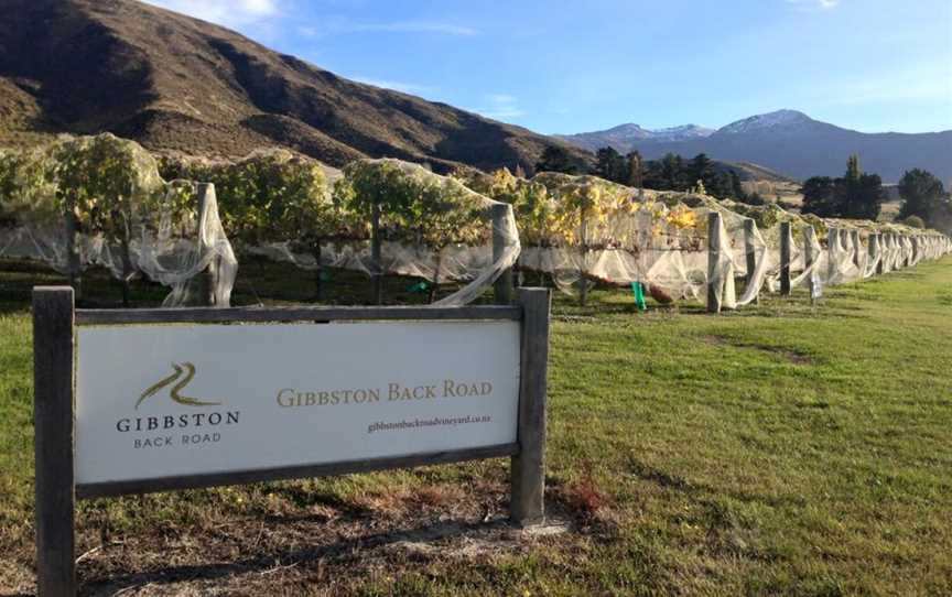 Gibbston Back Road Vineyard, Gibbston, New Zealand