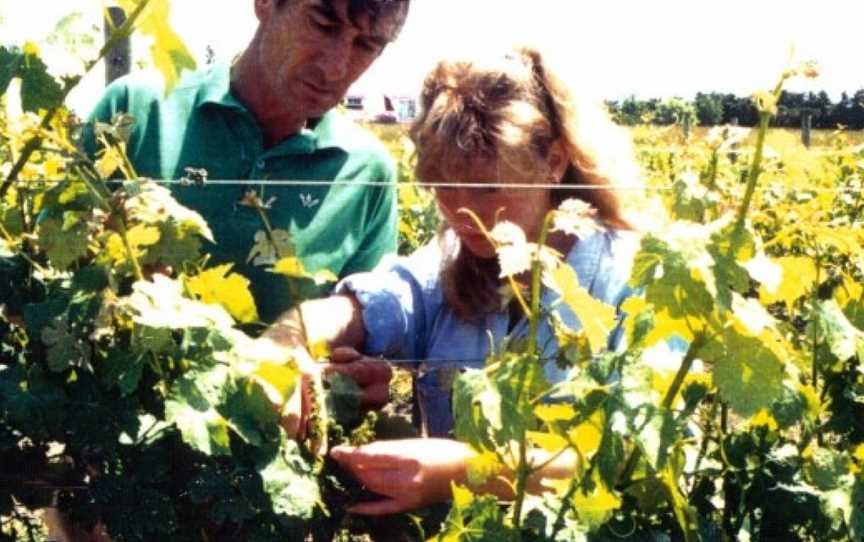 Glenmark Wines, Waipara, New Zealand