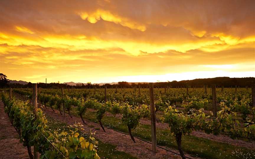 Jackson Estate, Springlands, New Zealand