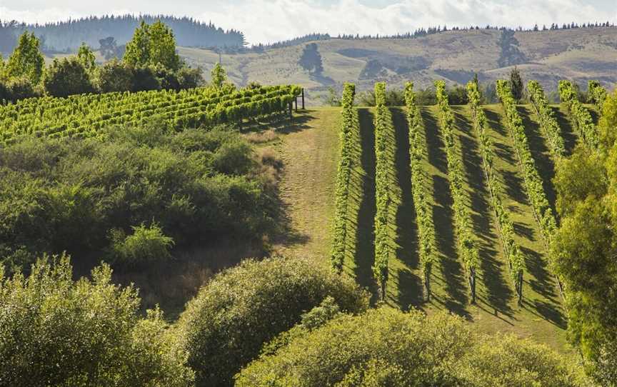 Kindeli by Alex Craighead, Upper Moutere, New Zealand