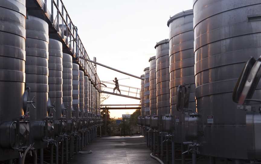 Marlborough Vintners, Springlands, New Zealand