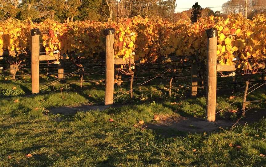 Omarino Wine Park, Harewood, New Zealand