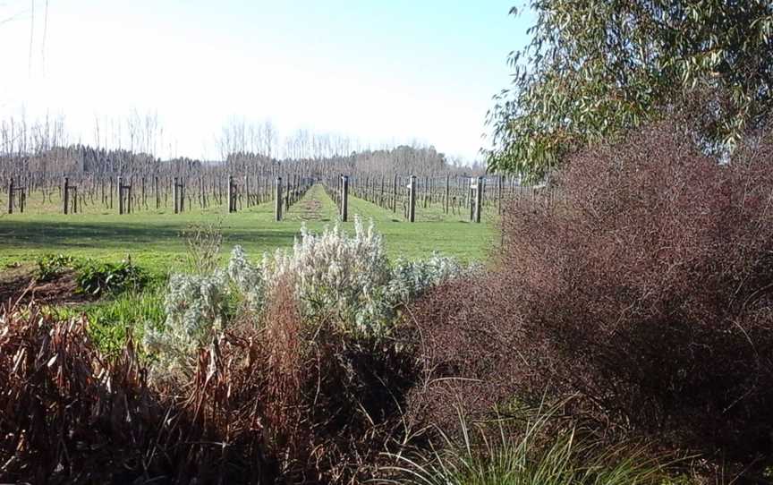 Paulownia Estate, Homebush, New Zealand