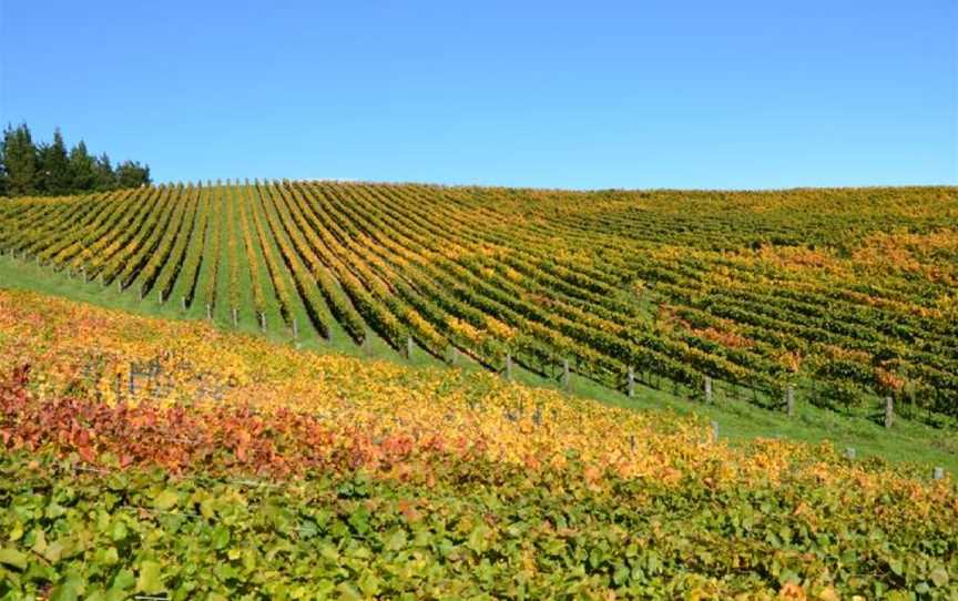 Ra Nui Wines, Riverlands, New Zealand