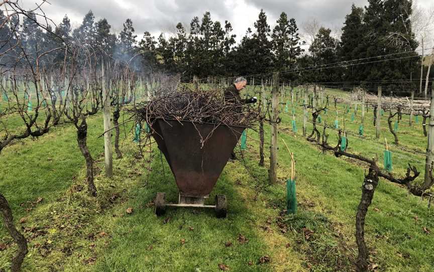 Rannach Vineyard Clevedon, Clevedon, New Zealand