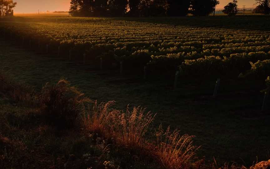 Rose Family Estate, Rapaura, New Zealand