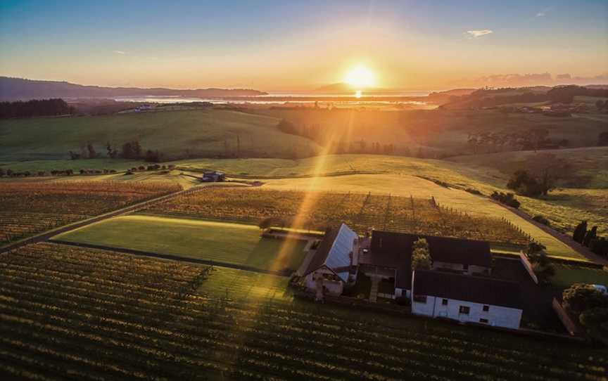 Takatu Vineyard, Matakana, New Zealand