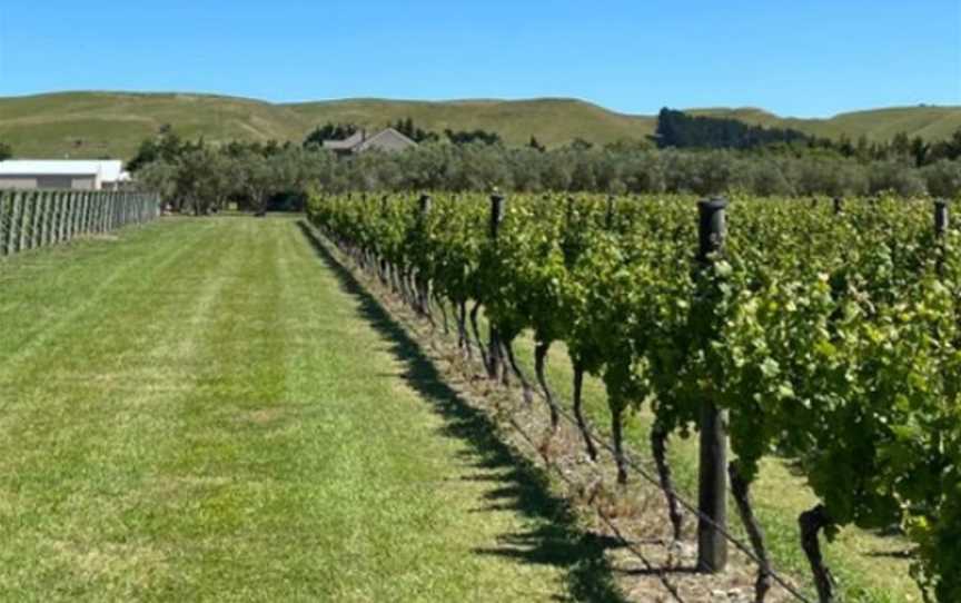 Butterworth Estate, Martinborough, New Zealand