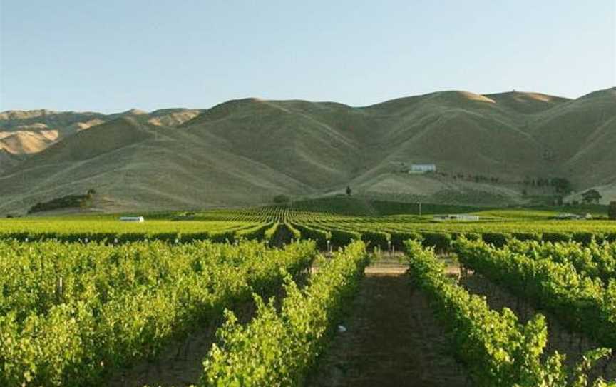 Fairhall Downs, Blenheim, New Zealand