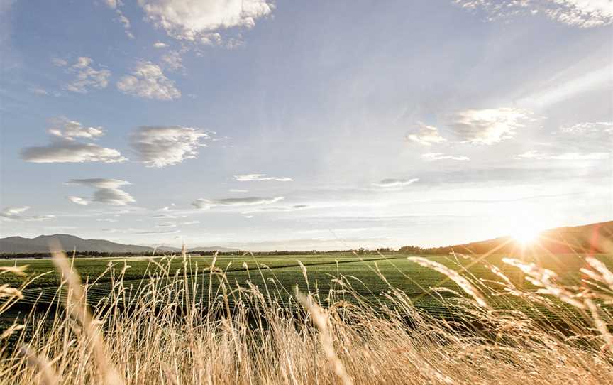 Jules Taylor Wines, Grovetown, New Zealand