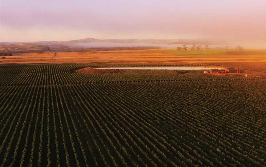 Osawa Wines, Hastings, New Zealand