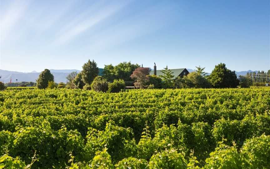 Seifried Estate, Appleby, New Zealand