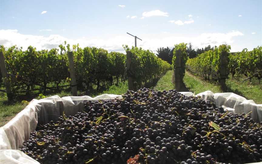 Stonecroft, Fernhill, New Zealand