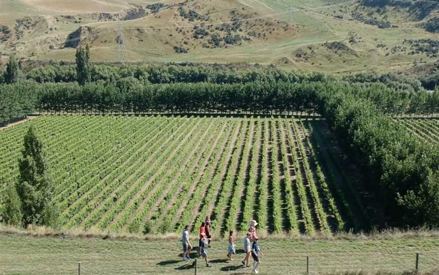 The Bone Line, Broomfield, New Zealand