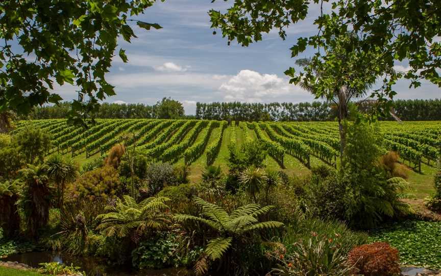 West Brook Winery, Helensville, New Zealand