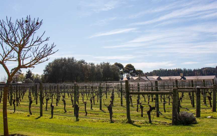 Craggy Range, Havelock North, New Zealand