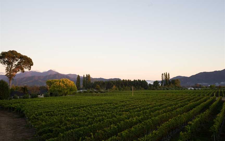 Mahi, Renwick, New Zealand