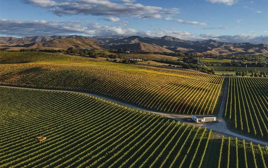 Greywacke, Wineries in Hawkesbury